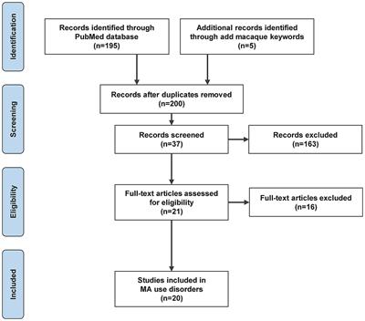 Uncovering transcriptomic biomarkers for enhanced diagnosis of methamphetamine use disorder: a comprehensive review